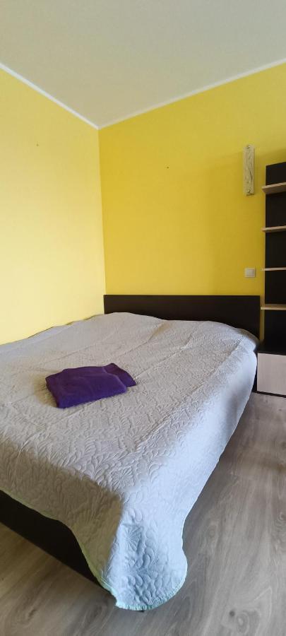 Adeles Apartamentai Panevezyje Panevėžys Zewnętrze zdjęcie